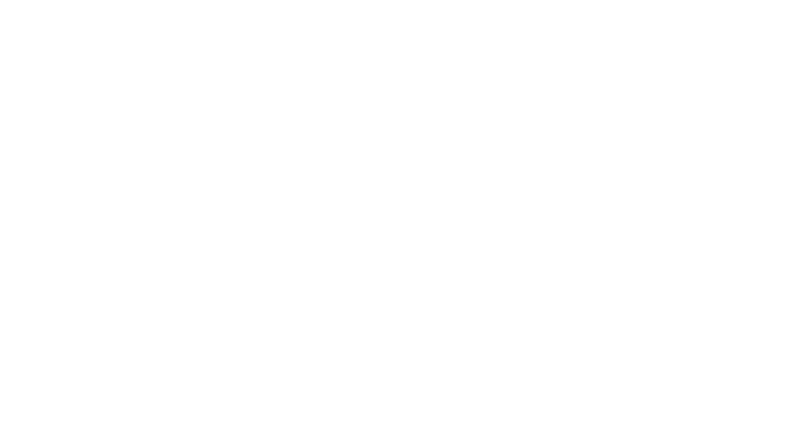 Zoom Overlay